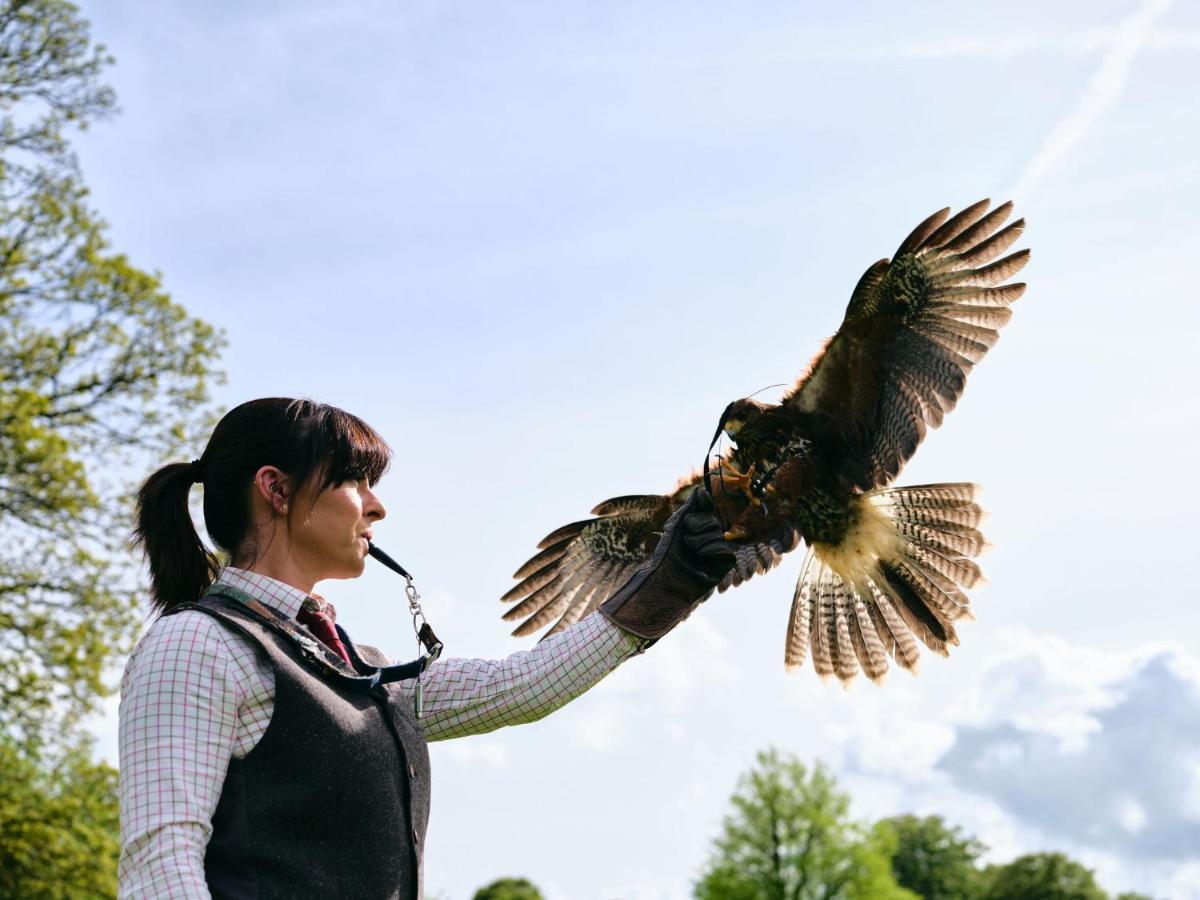 Lyrath Estate Hotel Kilkenny Exterior photo A falconer with a great horned owl